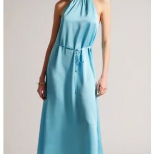 Ted Baker Roxieyy midi Dress